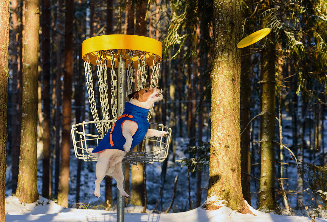 Frisbeegolf